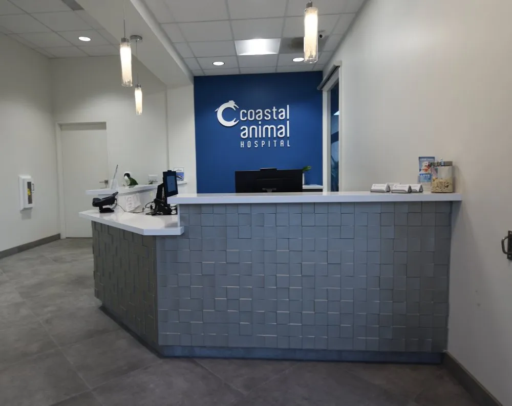 Coastal Animal Hospital Vet Lobby