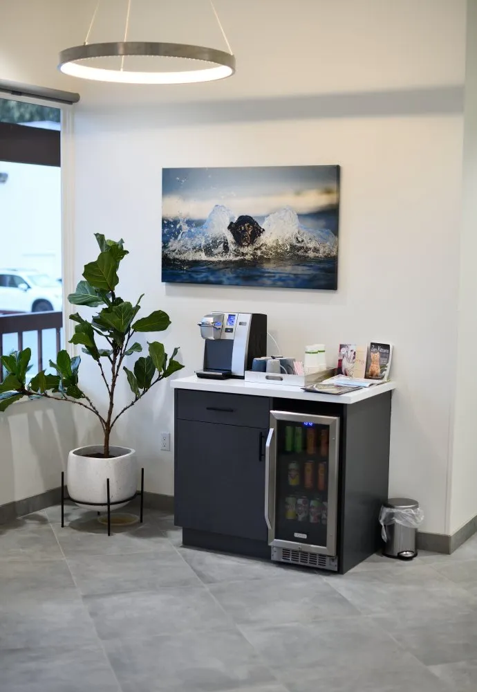 Coastal Animal Hospital Carlsbad Vet refreshments