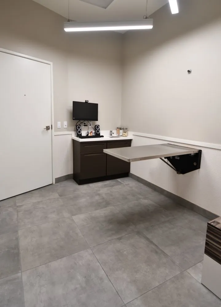 Coastal Animal Hospital Carlsbad Vet Exam room 2