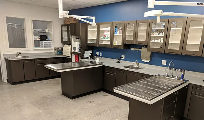 coastal animal carlsbad office3