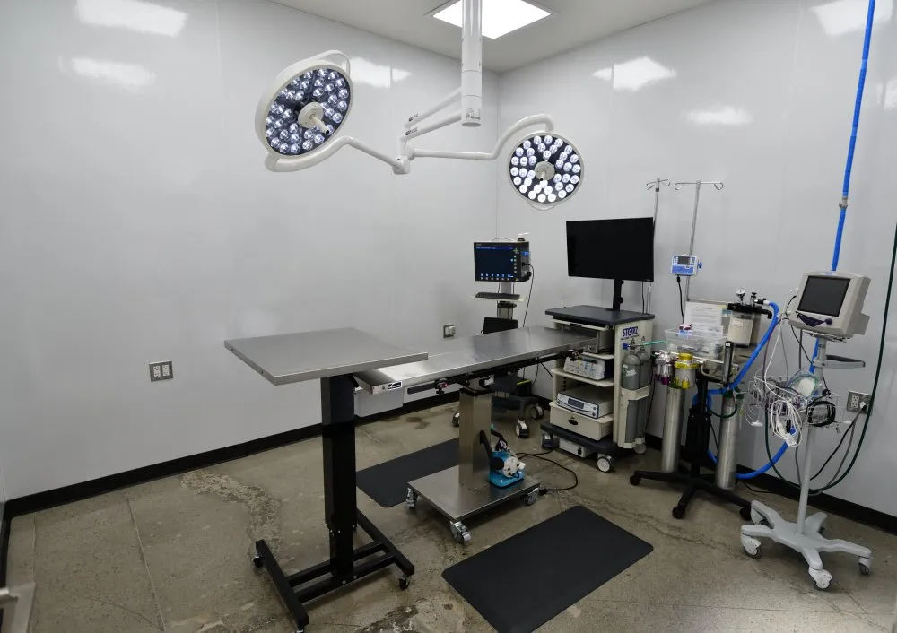 Coastal Animal Hospital Carlsbad Vet Surgery