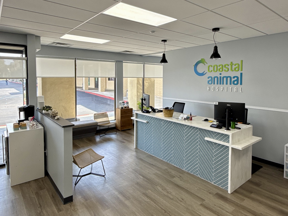 Coastal Animal Hospital Vet Encinitas lobby