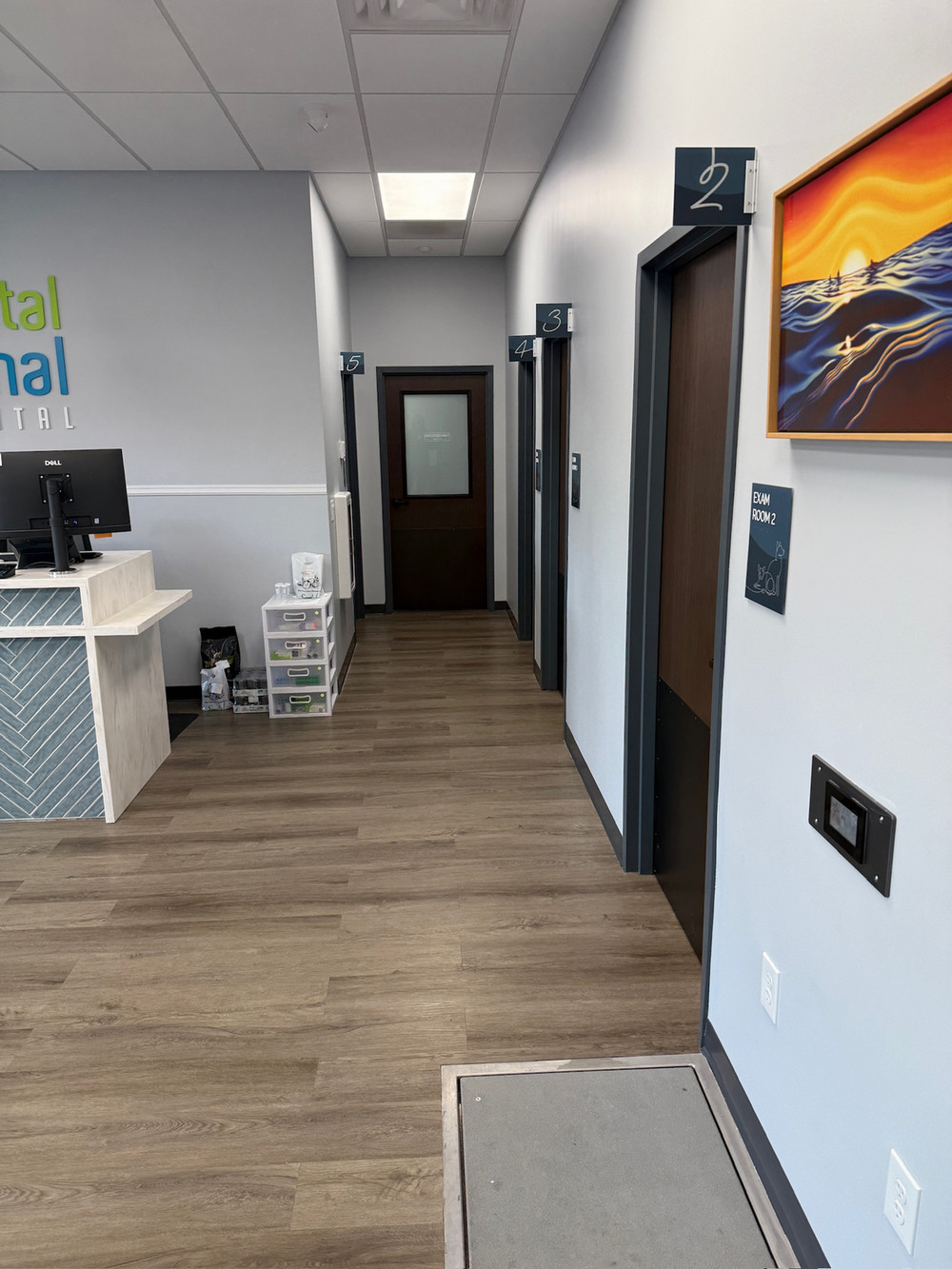 Coastal Animal Hospital Vet Encinitas