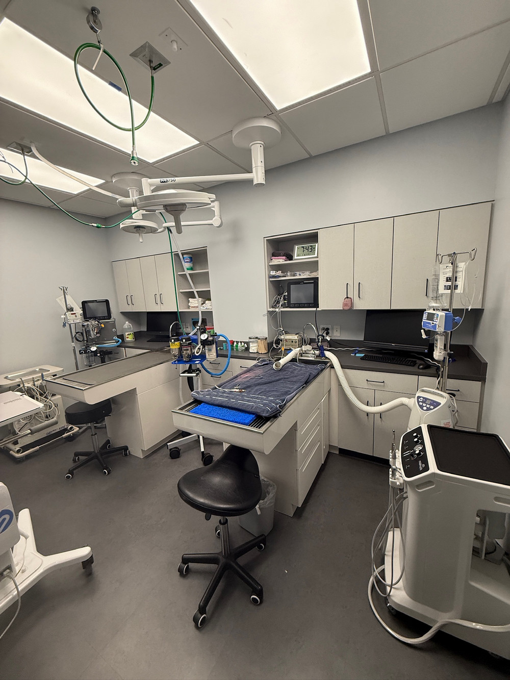 Coastal Animal Hospital Vet Encinitas exam room 2