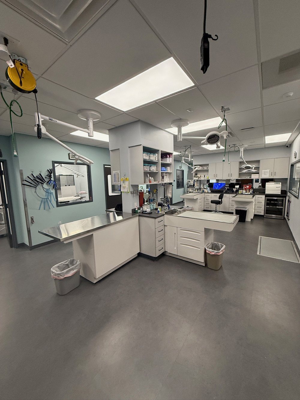 oastal Animal Hospital Vet Encinitas exam room