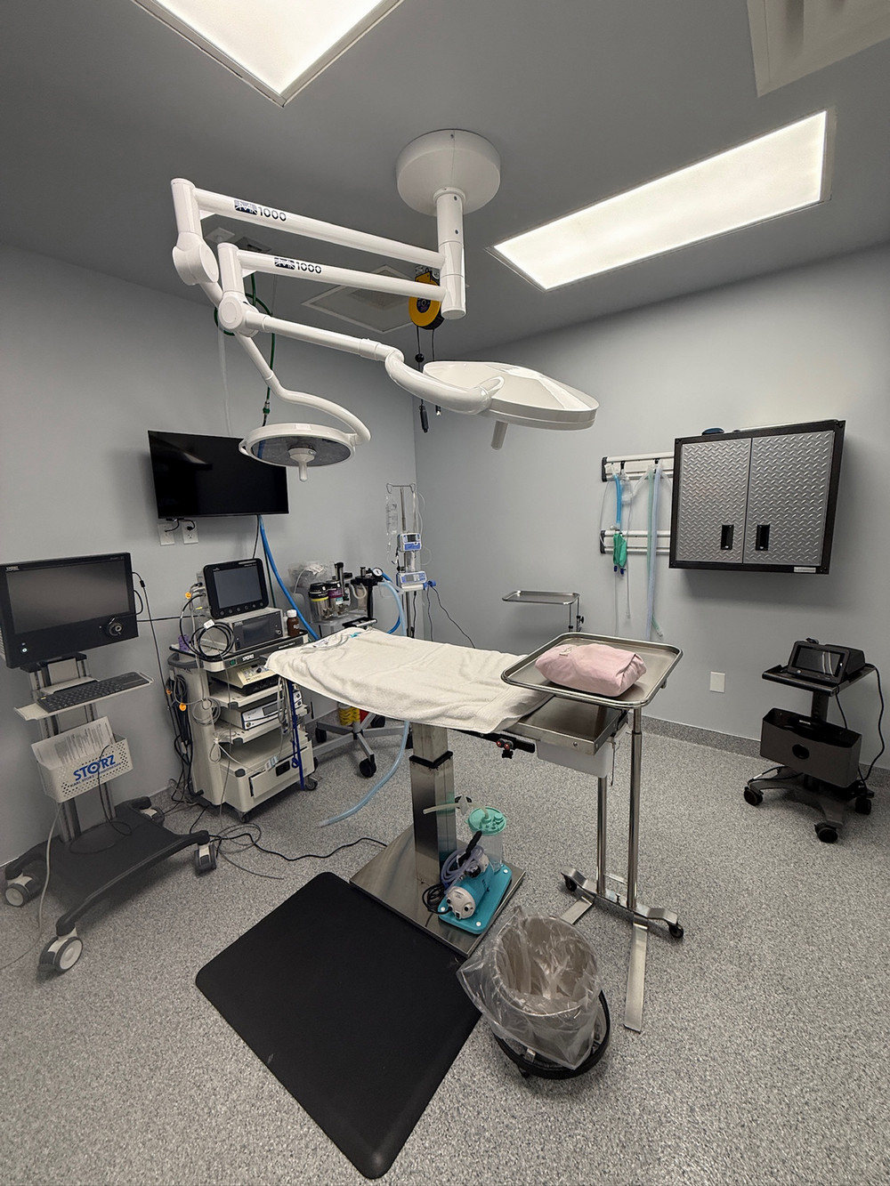 Coastal Animal Hospital Vet Encinitas xray