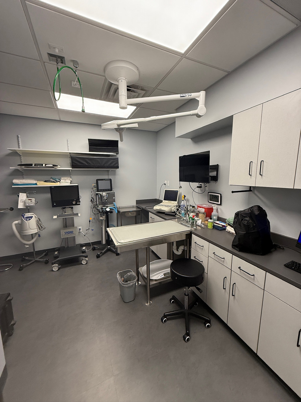 Coastal Animal Hospital Vet Encinitas surgery