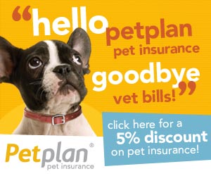2014 Pet Insurance Shootout: AND THE WINNER IS…