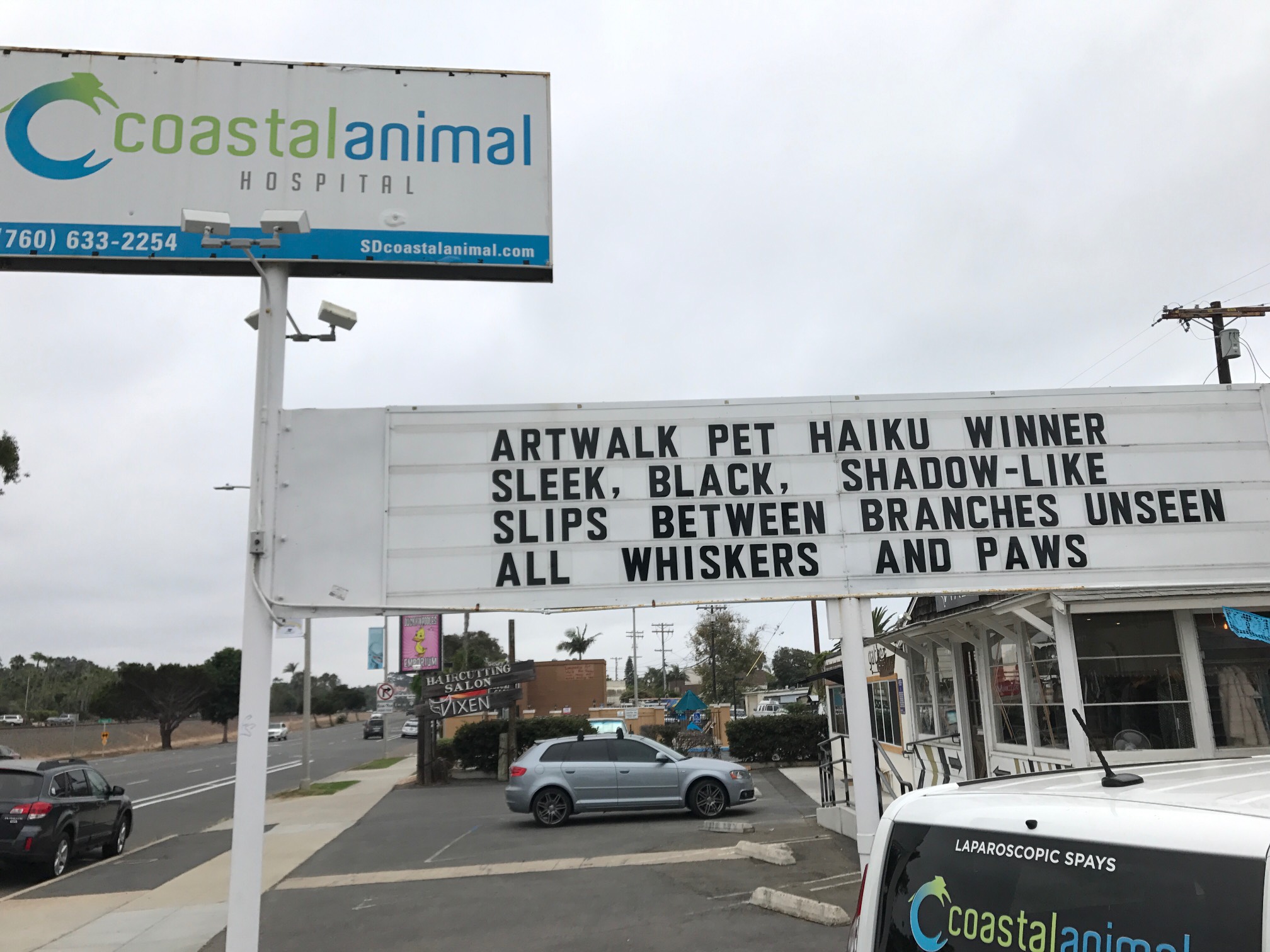 4th Annual Pet Haiku Winner - Editor's Choice