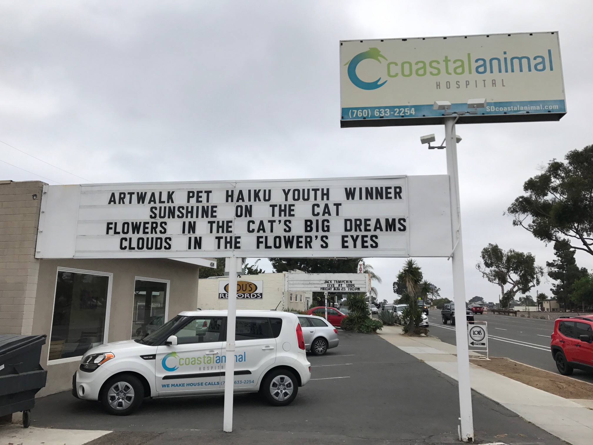 4th Annual Pet Haiku Winner - Reader's Choice