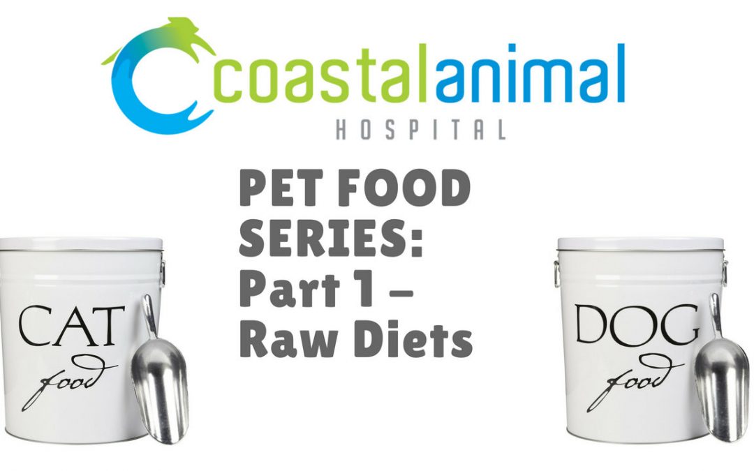 Pet Food Series, part 1: Raw Diets