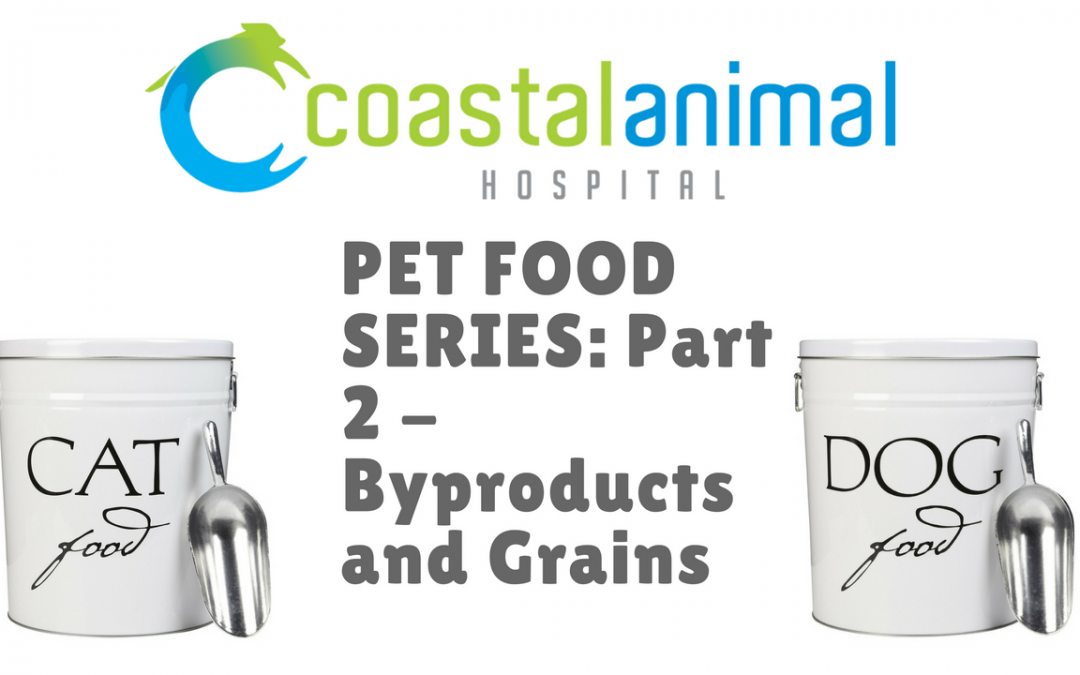Pet Food Series, part 2: By-Products and Grains, Oh My