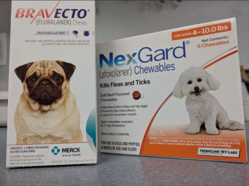 Is Nexgard going to kill my dog?!? (Spoiler alert – no)