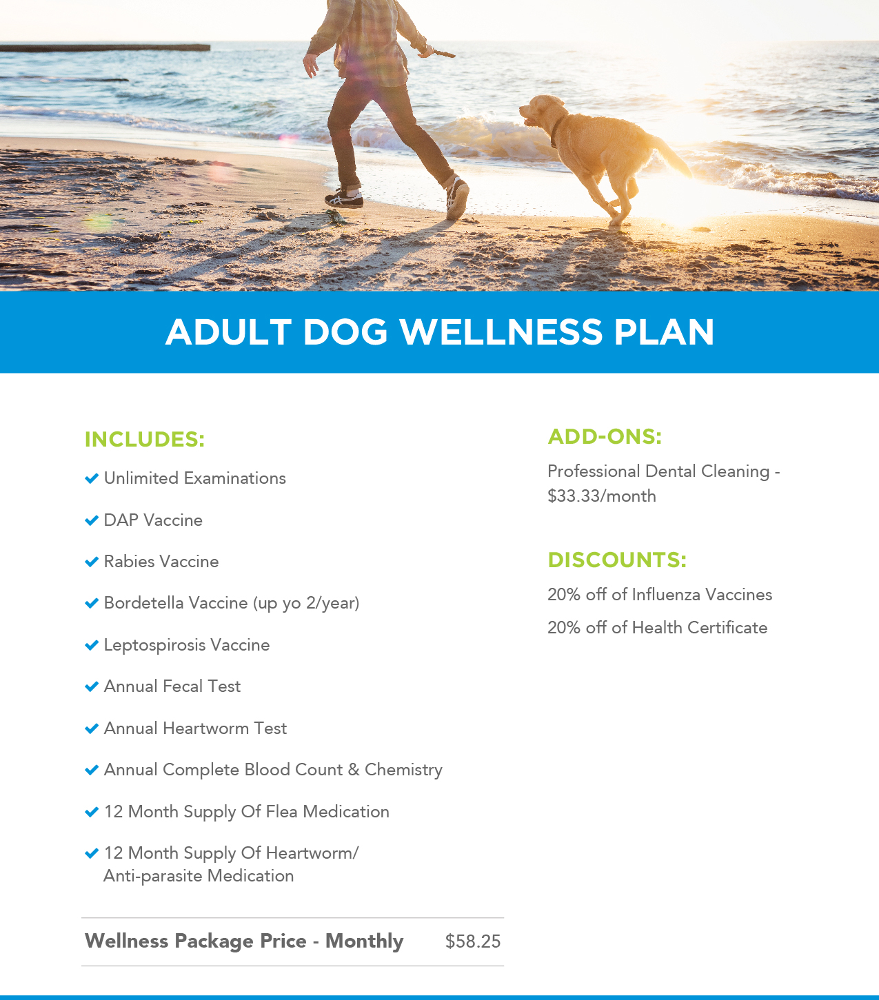 Adult dog wellness plans header image