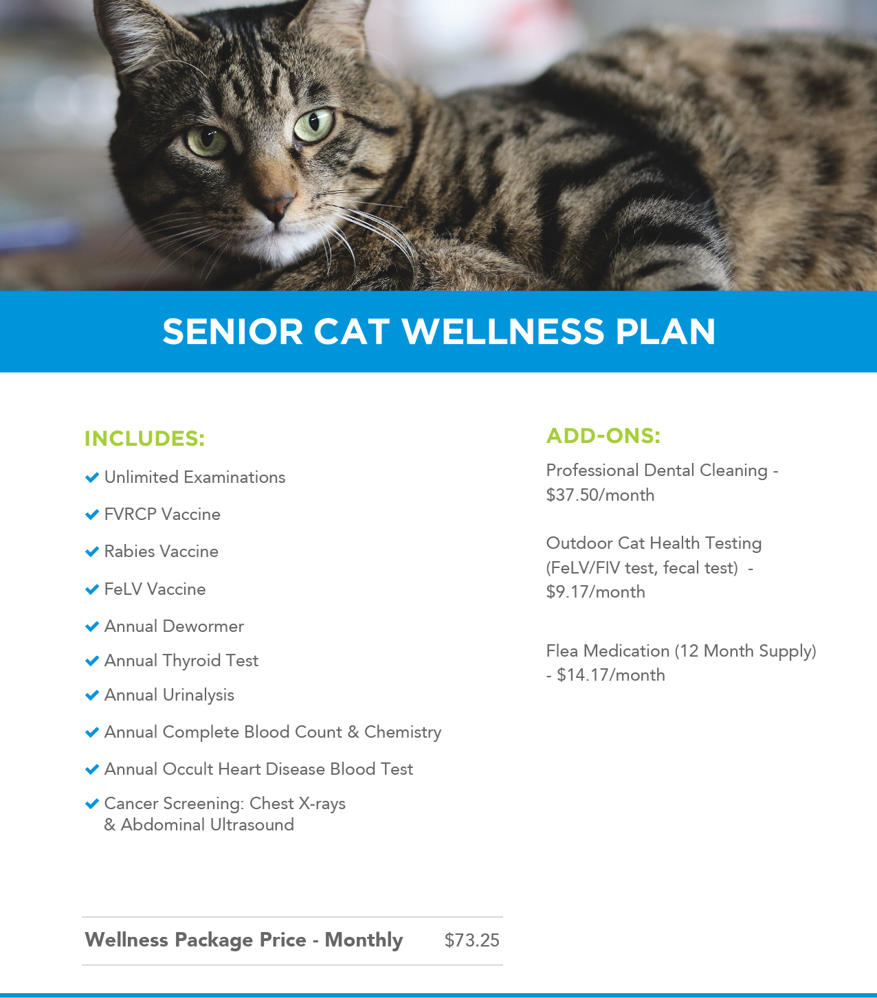 Indoor-Only Cat Wellness Plan