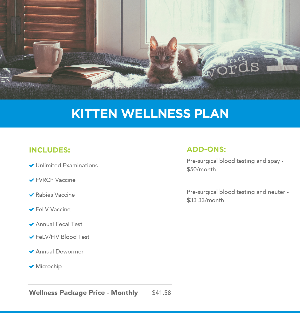Kitten Wellness Plans Banner