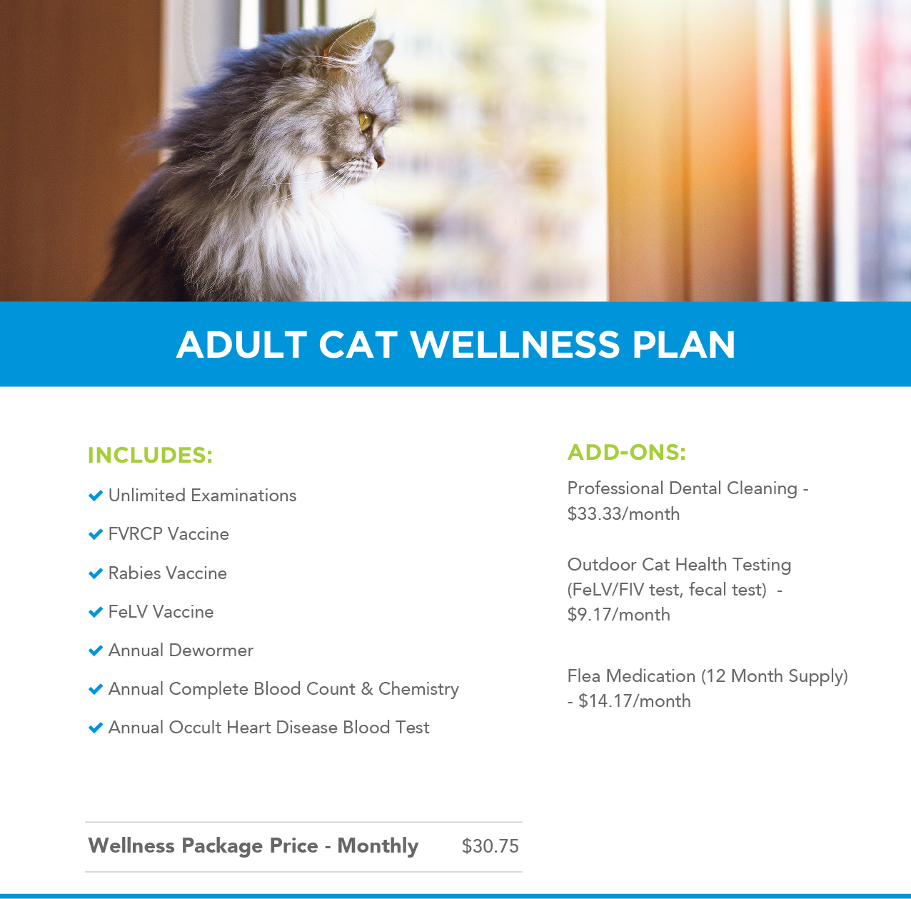 Adult Cat Wellness Plans Header